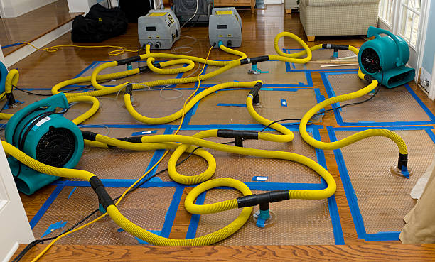 Professional Water Damage Repair technician working in Ecru, MS