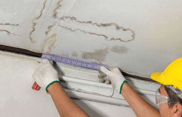 Affordable Water Damage Repair solutions in Ecru, MS